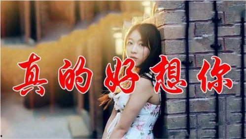 真的好想你视频,深情演绎，唤起回忆的旋律之旅
