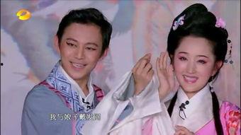 偶像来了黄梅戏视频,黄梅戏韵味浓——重温经典瞬间