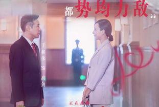 决胜法庭超清在线播放,超清在线播放，正义之战再起