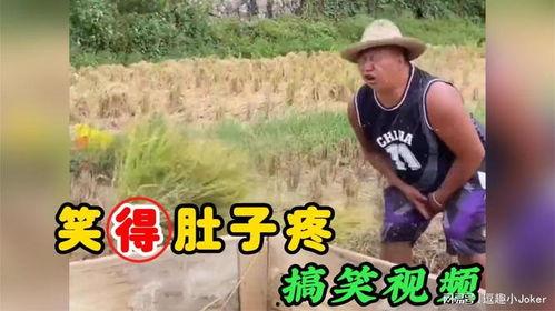 腹肌搞笑视频,笑出腹肌的欢乐瞬间