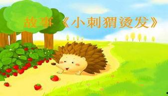 小刺猬的故事视频,小刺猬的勇敢冒险之旅