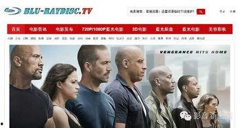 好看无码的电影下载,尽享视觉盛宴的秘密下载指南