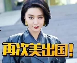 日本网民评论范冰冰,日本网民热议，网友观点大揭秘