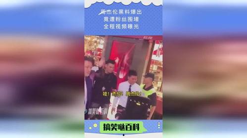 粉条爆料视频完整版下载