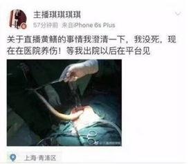 黄鳝门完整版在线播放,揭秘网络迷雾中的惊悚真相